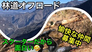 林道オフロード、カッ飛びスクーターは楽しいぞ！　ワクワクが止まらない！