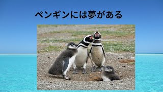 ペンギンを見ると癒されるね