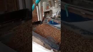 Indian customer using Yulong 160kw XGJ560 pellet machine with 2.5mt per hour capacity