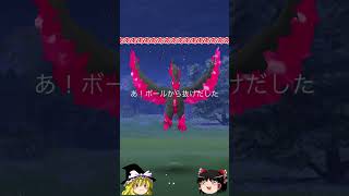 【ポケモンGO】CP低い⁉逃げない⁉️これいけるか⁉️（ガラル三鳥 チャレンジ 36回目）#shorts