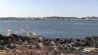 鹿児島桜島溶岩なぎさ遊歩道から見える海岸線風景