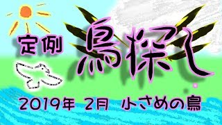 定例鳥探し 2019年2月 小さい鳥いろいろ