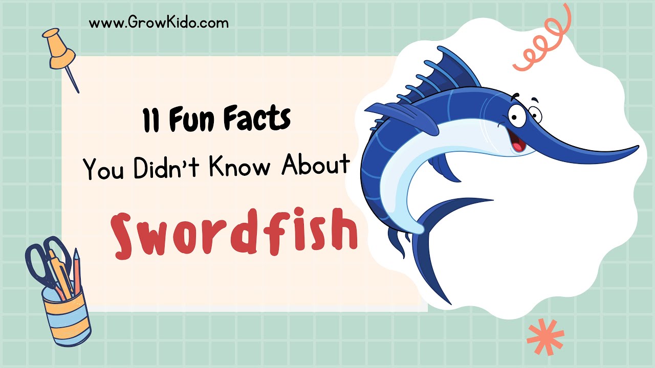 11 New Swordfish Facts You Didn T Know Must Check 3 Youtube