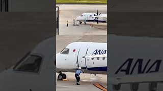 エントリードア・クローズ、指差し確認！ANA WINGS Bombardier DHC-8-402Q Dash 8 大阪国際（伊丹）空港 #Shorts