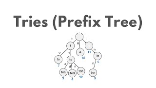 [Java] Tries (Prefix Tree) | Solve Leetcode - Implement Trie in Code