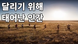 달리기 위해 태어난 인간