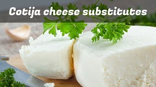 Cotija Cheese Substitutes