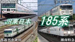 【ゆっくり解説】普通列車兼用特急！？185系とは？【JR東日本】