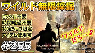 【ドラゴンズドグマDA # 255】ゾンビ覚者、純魔型への道～ワイルド無限採掘～【Dragon's Dogma:Dark Arisen／ハードモード／字幕プレイ動画】