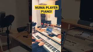 Numa player free piano #numa #piano #free #sounds #agdugros