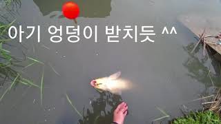 루어낚시로 잉어잡는방법!!! Catch carp with lure fishing.