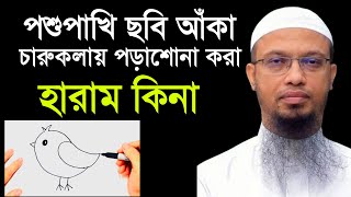 পশু পাখির ছবি আঁকা জায়েজ কিনা ও চারুকলায় পড়াশোনা করলে করনীয় কি শায়খ আহমাদুল্লাহ