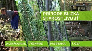 Prírode blízka starostlivosť