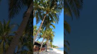 Can-uba Marble Beach - Jagna, Bohol 🌴🌊 #beach #nature #travel #beautiful #adventure #shorts #beauty