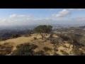 Tree of Life at The Cahuenga Peak Trail