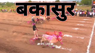 बकासुर आणि कॉकटेल | bailgada sharyat live | live bailgada sharyat | #bakasur #bailgadasharyat