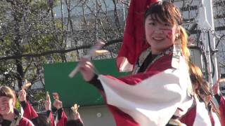 早稲田大学“踊り侍”＠2016　ふるさと祭り東京