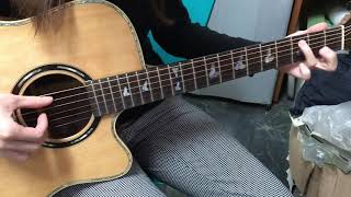 Alulu Acoustic Guitar NG24