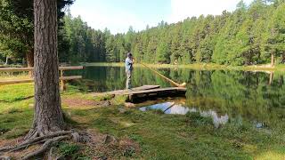 Pfyffer, Alphorn-Solo