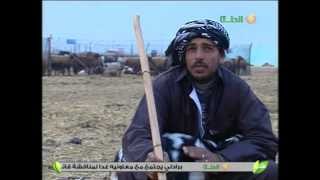 #x202b;"العبابدة"عرب الدلتا.#x202c;lrm;