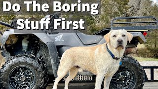 Labrador Retriever Training | Do The Boring Stuff First