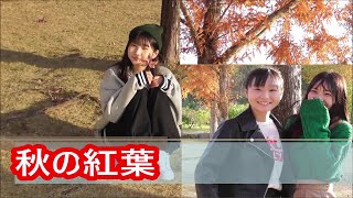 【ロゼリラ】11月20日冬？寒いけれど「秋の紅葉」の下撮影したら綺麗すぎた【ドイツの森】投稿日11月27日は『COCONA』の生誕日♪