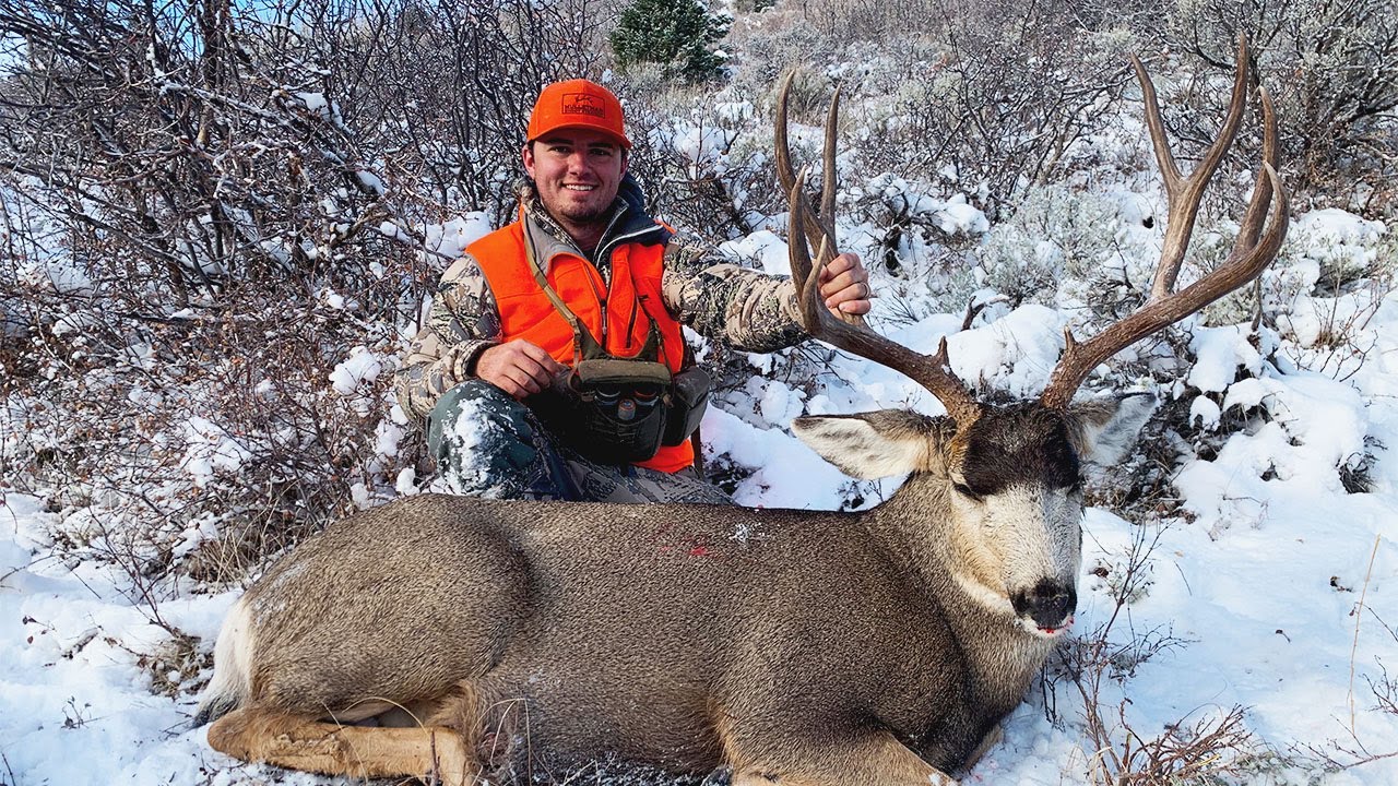 GIANT Public Land Colorado MULE DEER {Catch Clean Cook} - YouTube