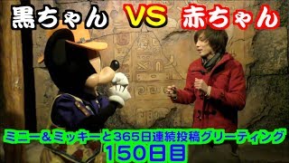 ミニー＆ミッキーと365日連続投稿グリーティング150日目〜黒ちゃんVS赤ちゃん〜