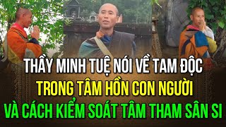 Thầy Minh Tuệ nói về tam độc trong tâm hồn con người và cách kiểm soát tâm tham sân si