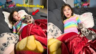 She Thought She Was Dreaming… Until the Puppy Crawled Onto Her 🐶 New Puppy Surprise Compilation 2026