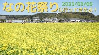 なの花祭りに行ってきた福岡県古賀市筵内菜の花 #福岡 #古賀市 #なの花 #fukuoka