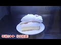 ケーキ真空引き実験｜多目的真空実験槽