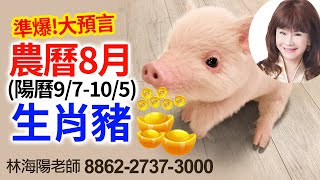 林海陽 準爆! 運勢大預言 農曆8月 陽曆9/7-10/5 生肖豬 20210914