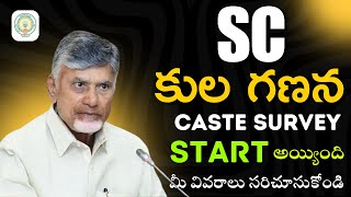 SC Caste Survey 2025 in Andhra Pradesh Complete Process in Telugu