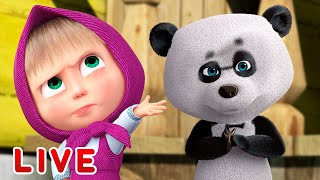 LIVE! 👉玛莎和熊 👱‍♀️📺 准备万圣节派对 📺🎃 Masha and the Bear 🧛‍♀️