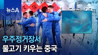 우주정거장서 물고기 키우는 중국 | 뉴스A