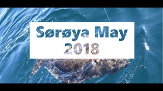 Fishing Norway - Halibut Söröya sea Lopphavet Sørvær Gjestehus 2018 part 1