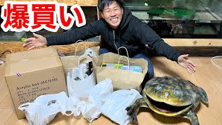 Introducing all the things I bought at the biggest reptile event in Japan