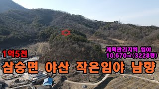 40706번 임야매매  보은군 삼승면 야산 작은임야 1억5000만원(고정가) 계획관리지역 10,670㎡(3228평) 보은ic10분 #보은부동산 #충북부동산 #옥천부동산