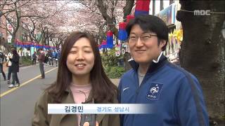 벚꽃없는축제 이소현기자