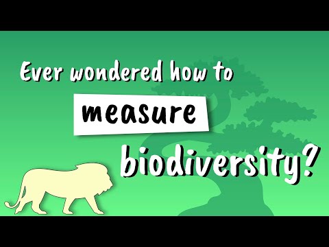 What does a high diversity index mean?