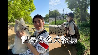 世界の名犬牧場行ってみた！