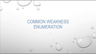 01 Common Weakness Enumeration(CWE) Introduction