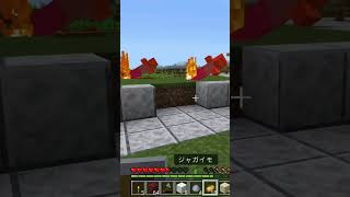 【マイクラ】🤔