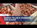 Harga Telur Terus Meroket, Tembus Rp 32 Ribu Per Kilogram