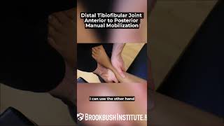 Distal Tibiofibular Joint Anterior to Posterior Manual Mobilization