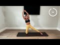 10 minute obliques and core workout at home no equipment