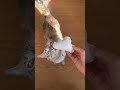 The Best Cat Toys Ever Created