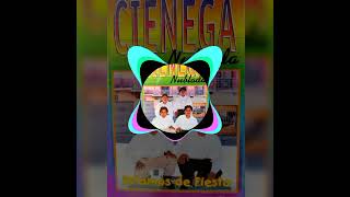 GRUPO CIENEGA NUBLADA - \