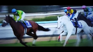 阪神ジュベナイルフィリーズ　レース　白毛馬　G1制覇の瞬間